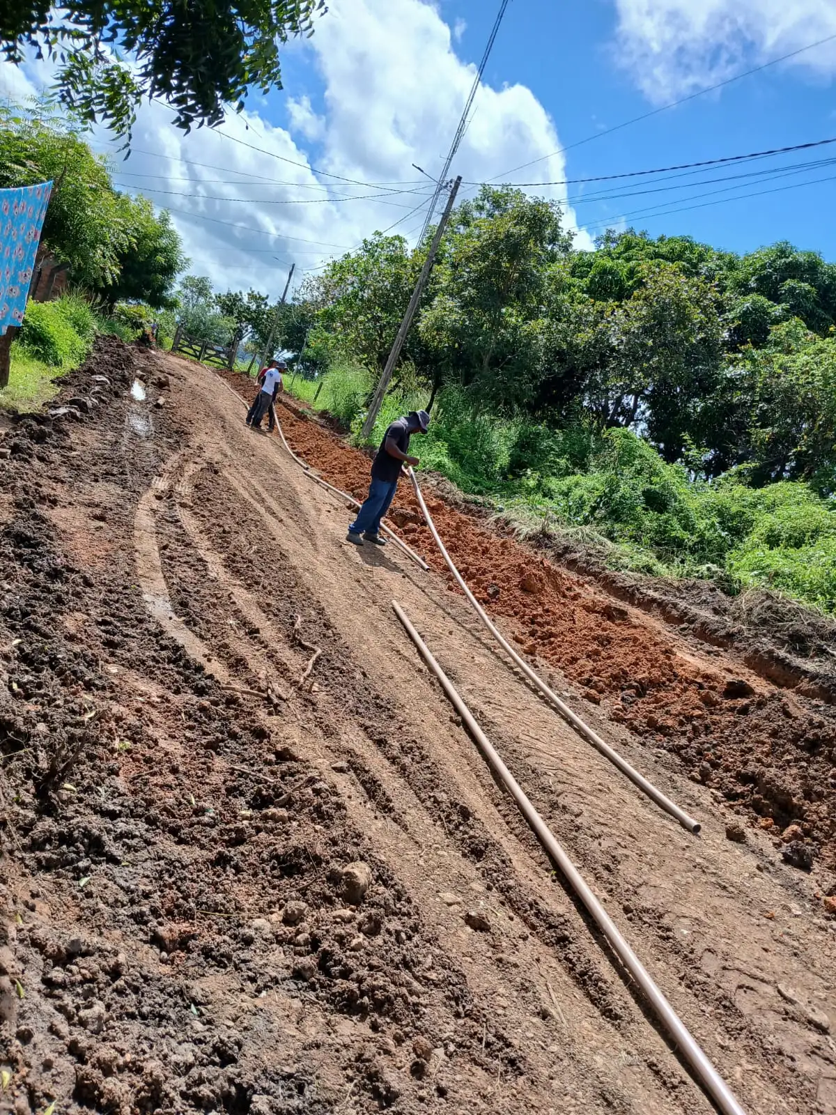 Slide 6